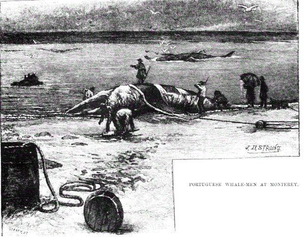 19th century whaling tales. vist0089u